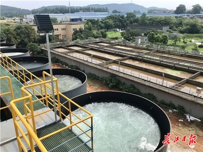 九峰明渠临时污水处理设施高效运行，显著削减入东湖污水量